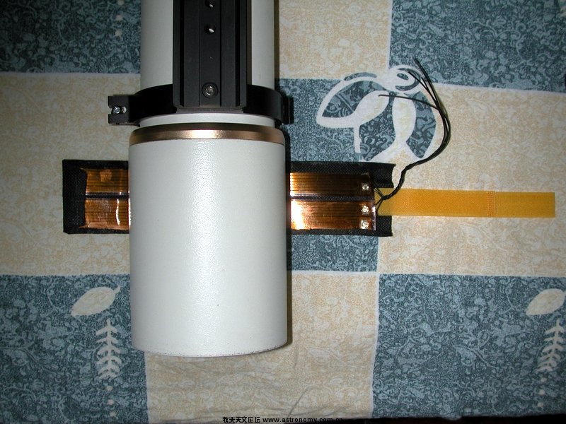 DSCN1303.jpg