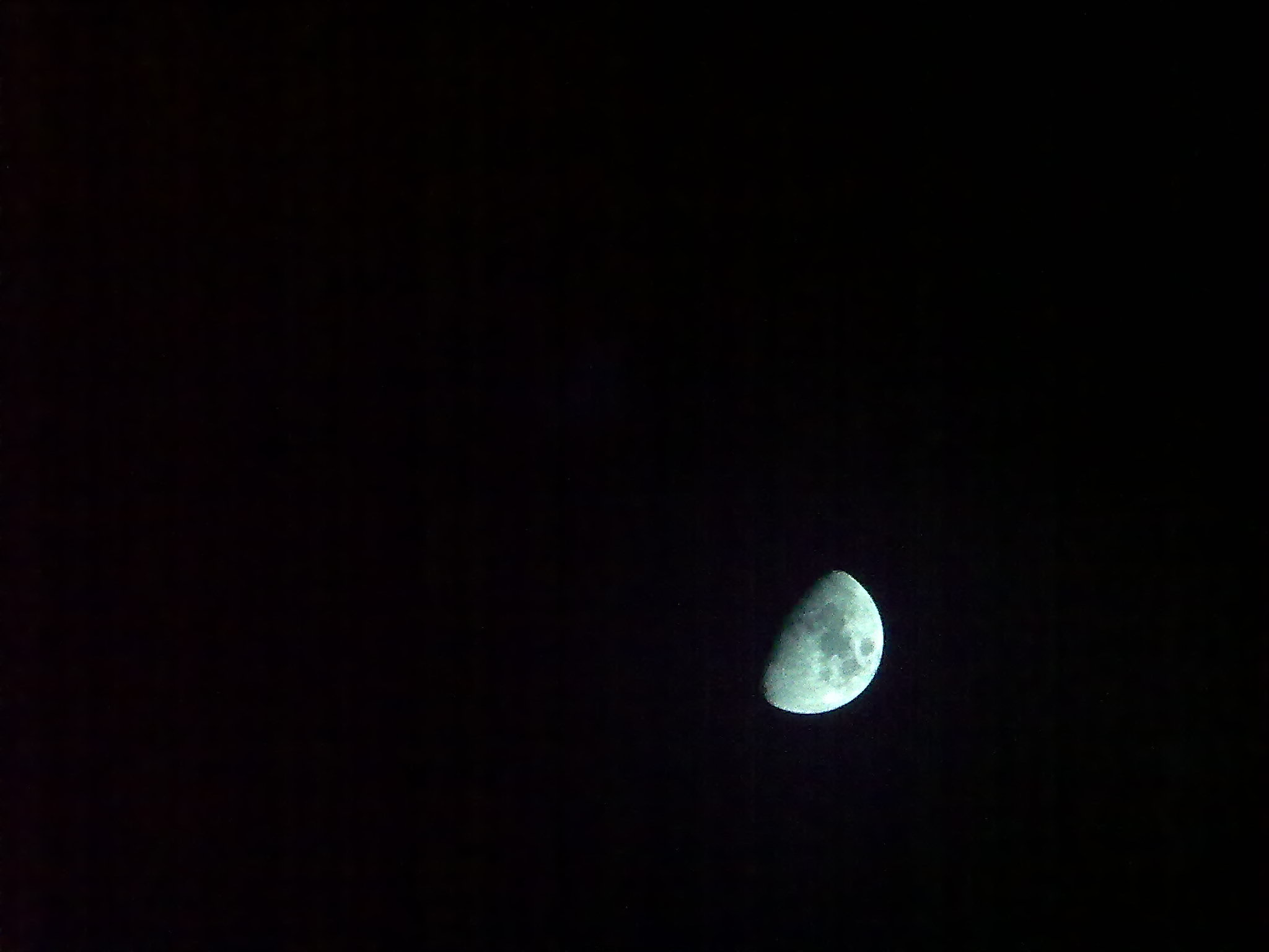 20100818447.jpg