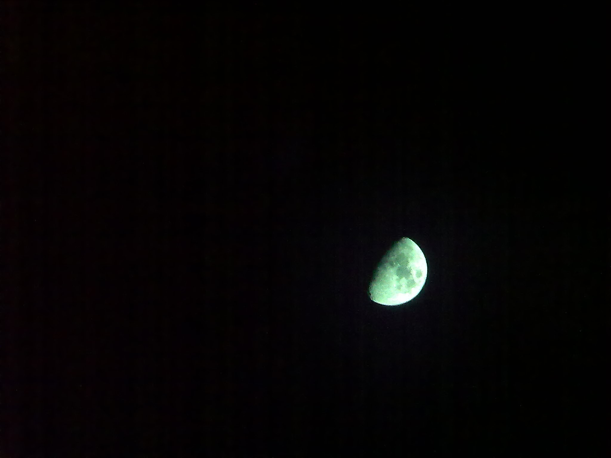 20100818448.jpg
