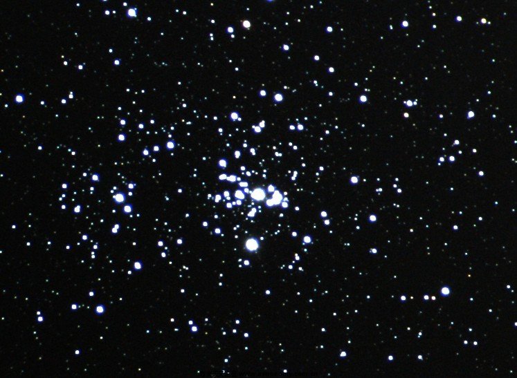 ncg884.jpg