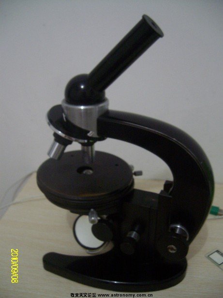 ALIM5369.JPG