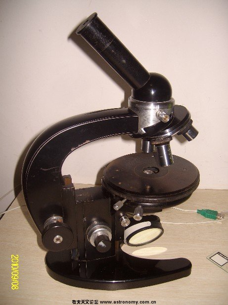 ALIM5367.JPG
