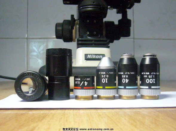 P1100208.jpg