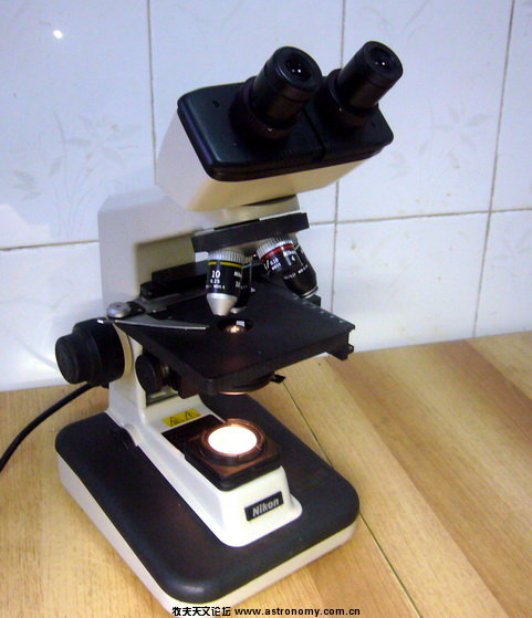 P1100210.jpg