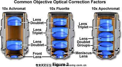 objectivesfigure2.jpg