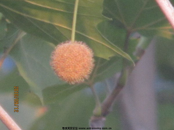 IMG_1165_缩小大小.jpg
