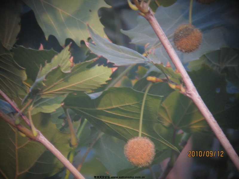 IMG_1109_缩小大小.JPG