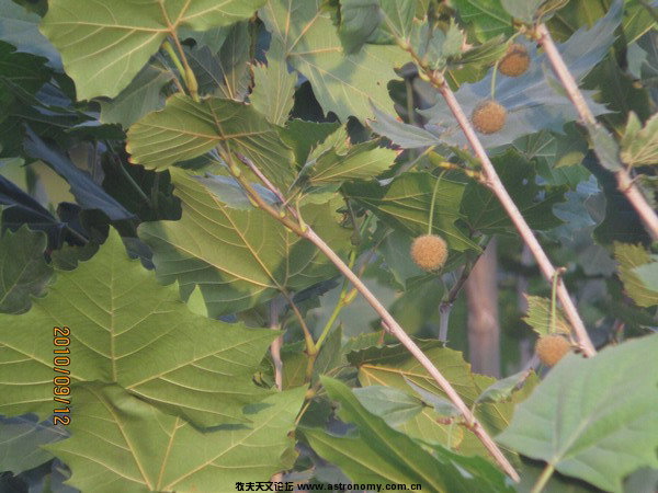 IMG_1138_缩小大小.jpg