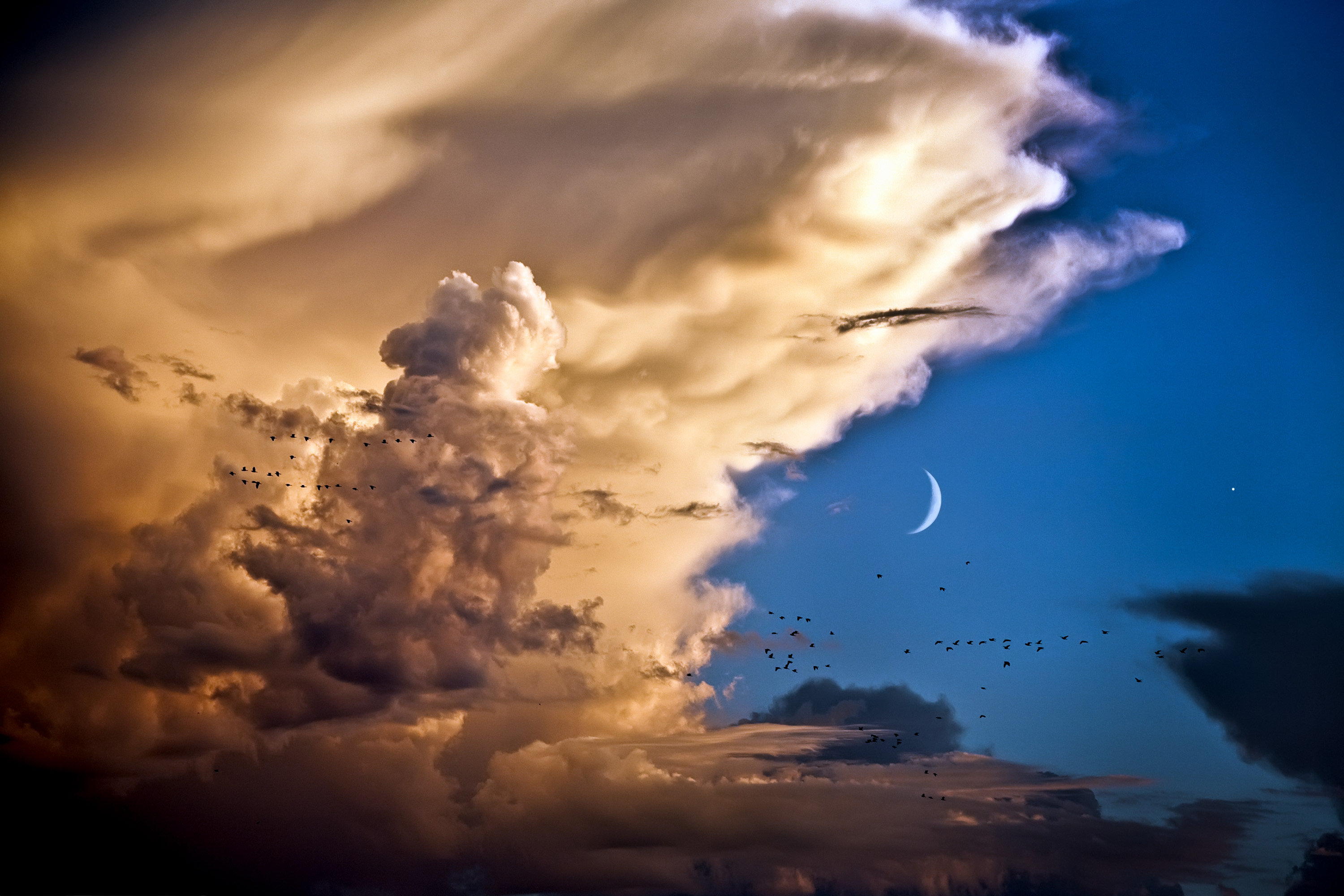 雲彩、群鳥、新月、金星.jpg