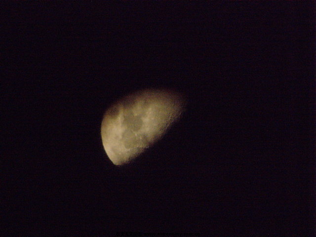 SNV32056.JPG