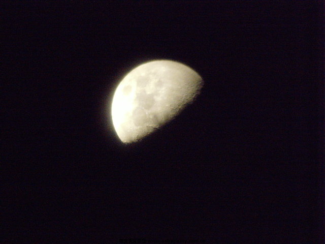 SNV32063.JPG