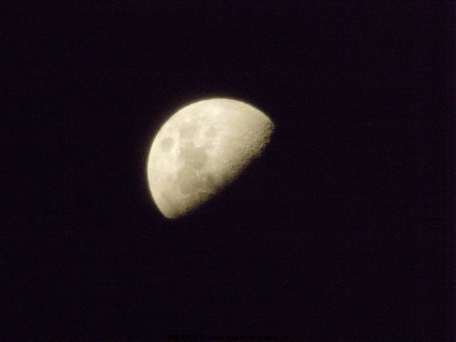 SNV32058.JPG