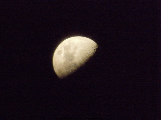 SNV32057.JPG