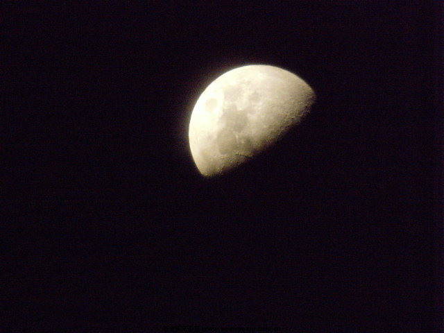 SNV32067.JPG