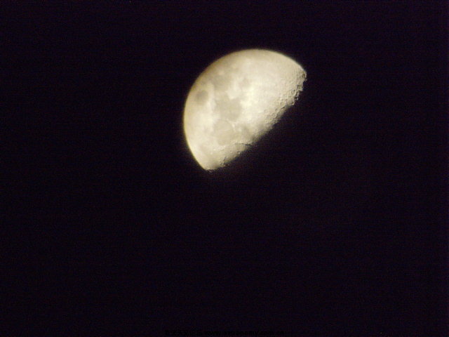 SNV32060.JPG