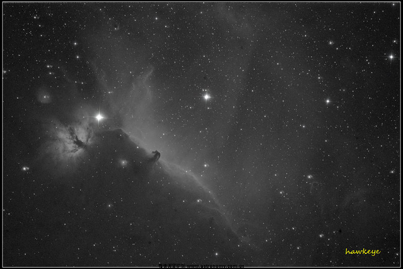 IC434bw.jpg