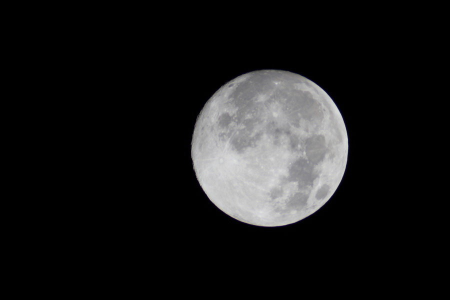 IMG_1749_调整大小.JPG