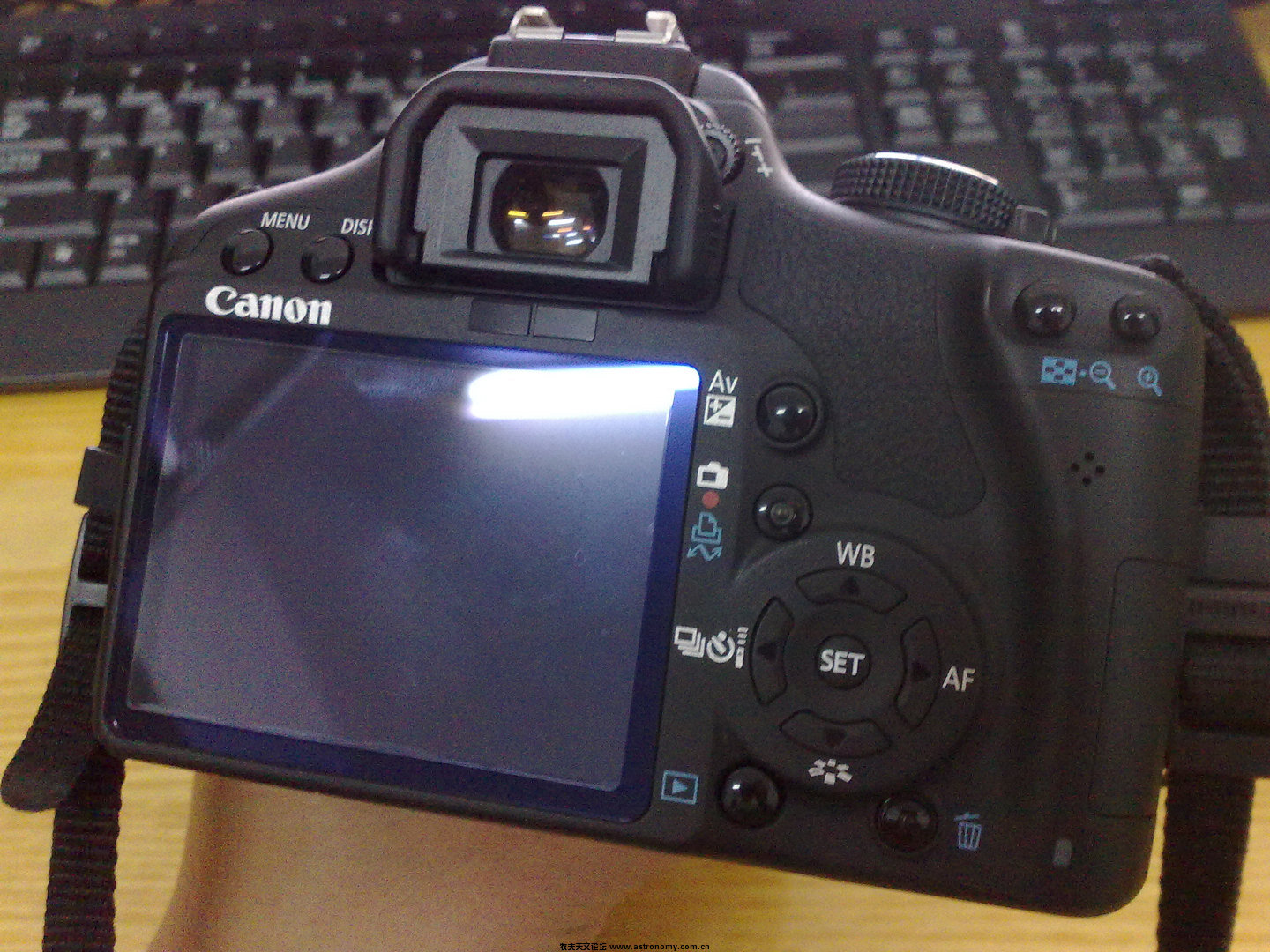 500D 5.jpg