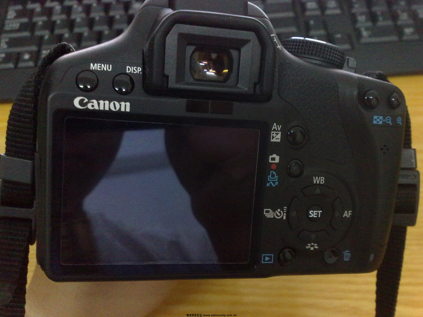 500D 4.jpg