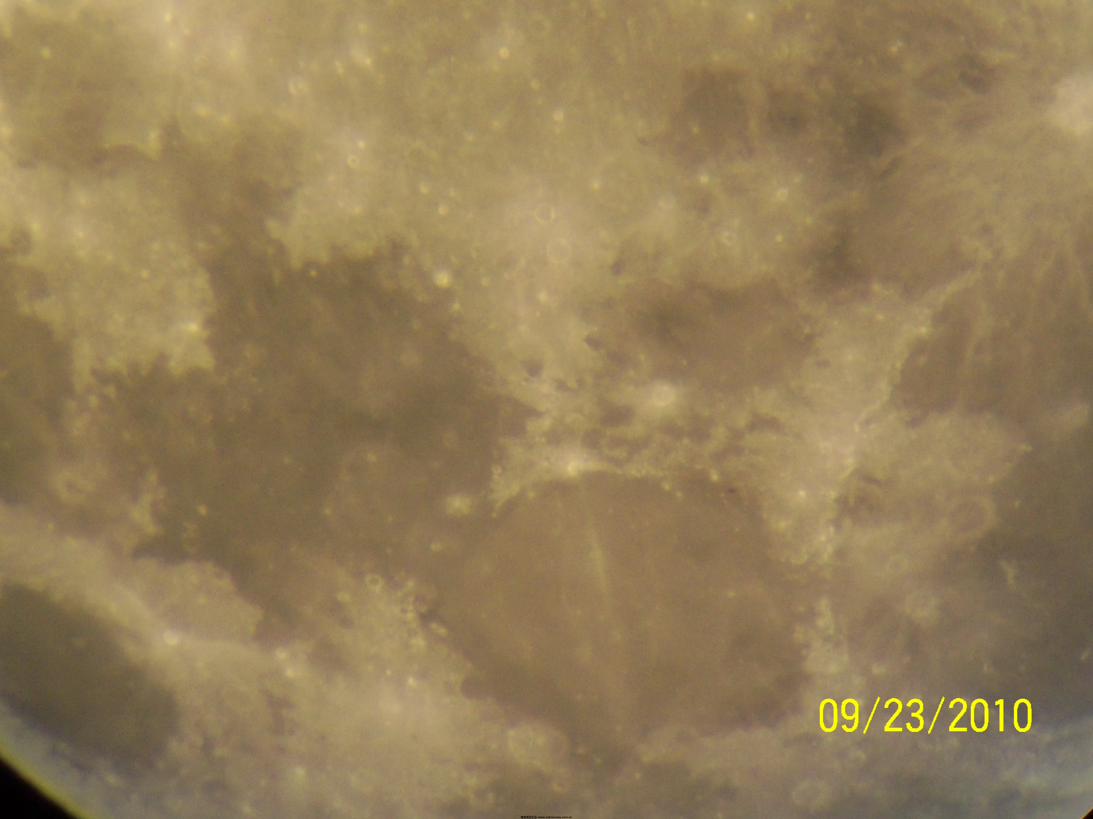 100_1532.JPG