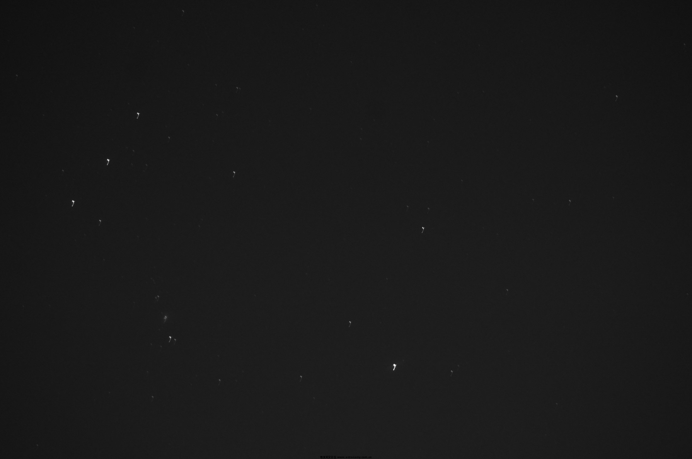 DSC00009.JPG