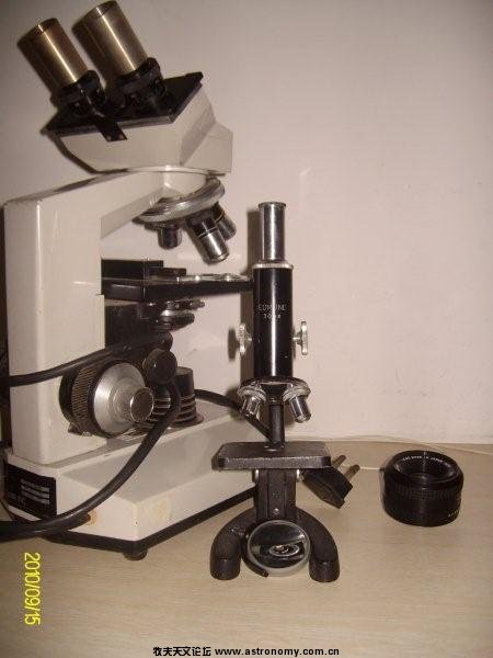 ALIM54306.jpg