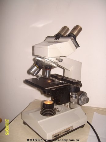 96.jpg