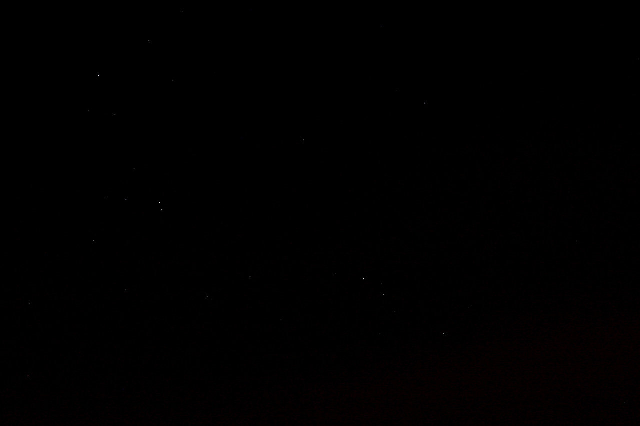 Scorpius-1.jpg