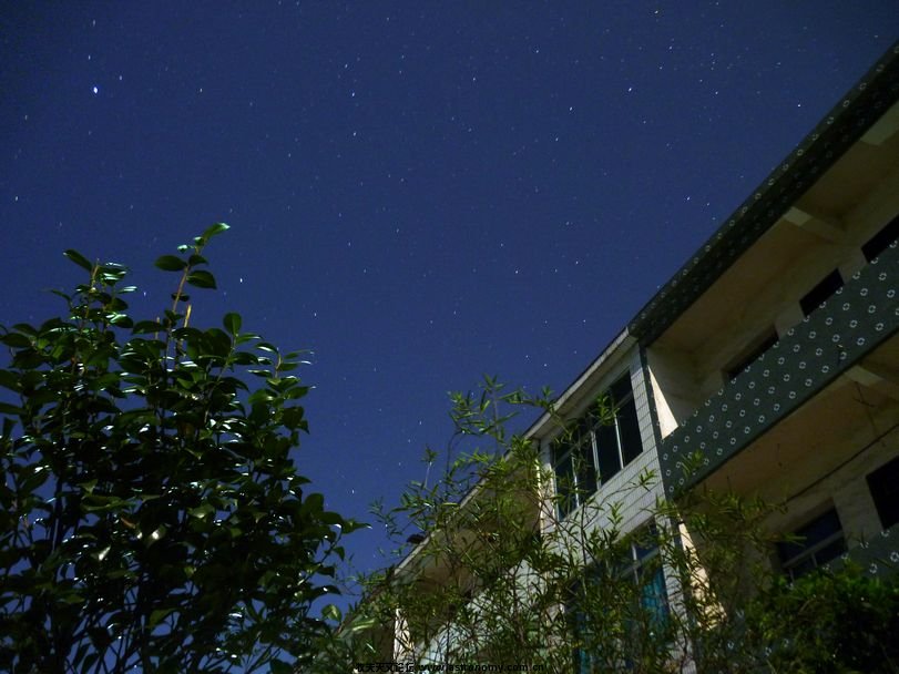 P1020235.jpg