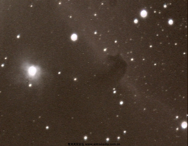 IC434合并 拷贝.jpg