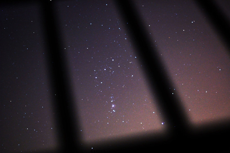 DSC_3813.jpg