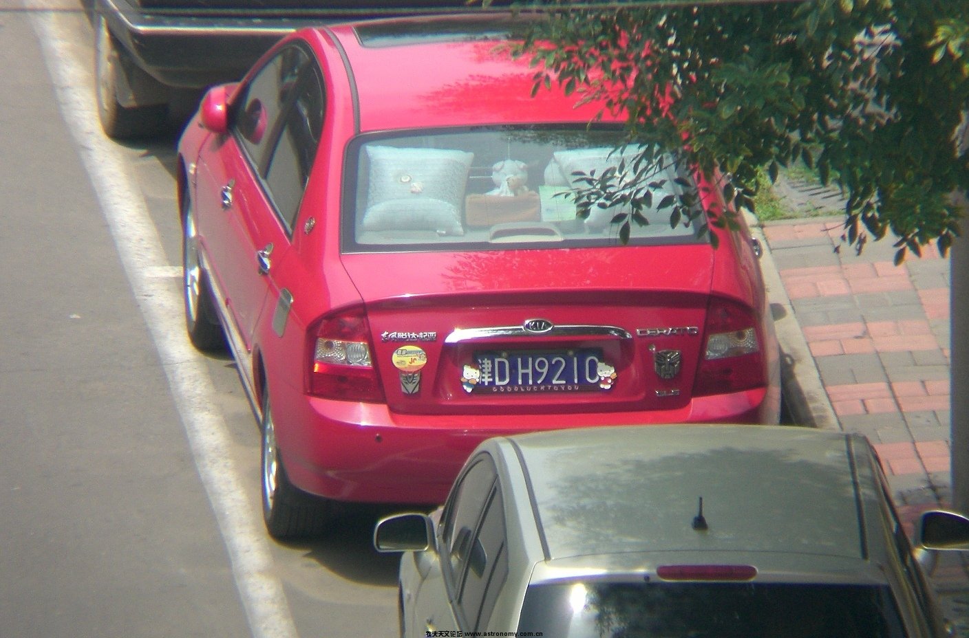 CIMG0951.JPG