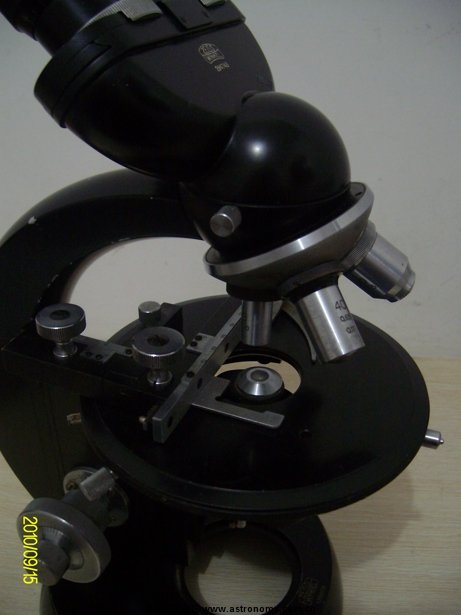 ALIM5559.jpg