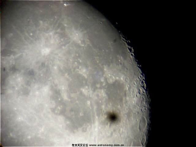SL381044.jpg