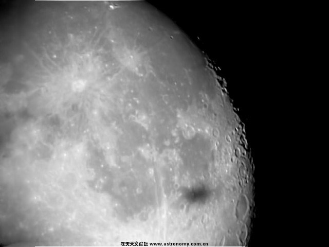SL381044.jpg