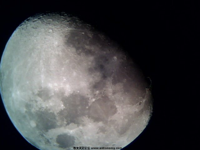 IMG0395A.jpg