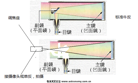 啊不错.gif