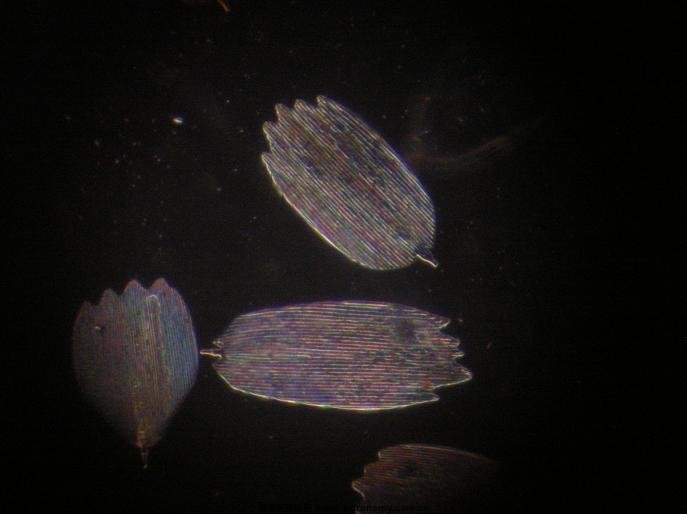 DSCN5017.JPG