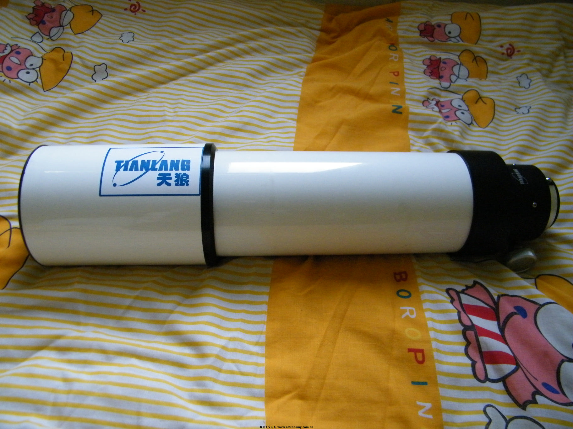 DSCF0601.jpg