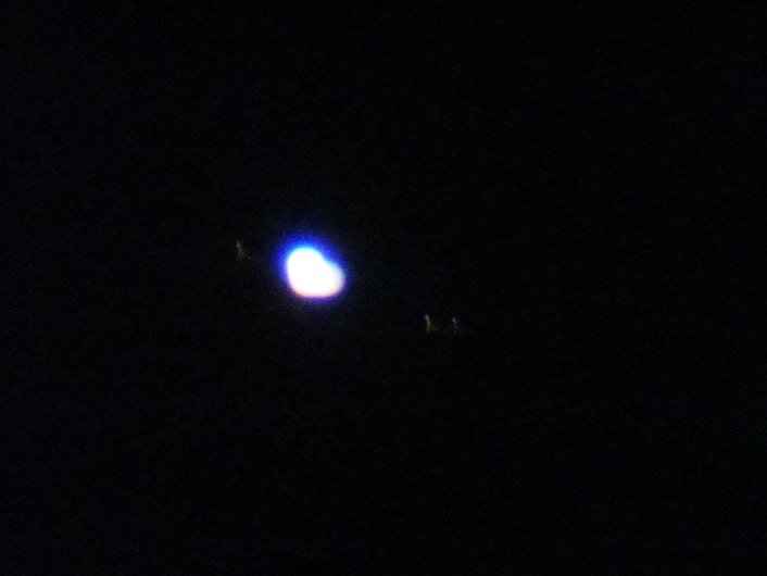 DSC04117.JPG