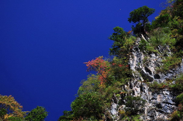 DSC_6288.jpg