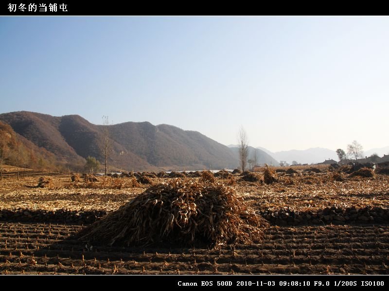 0IMG_6019.jpg