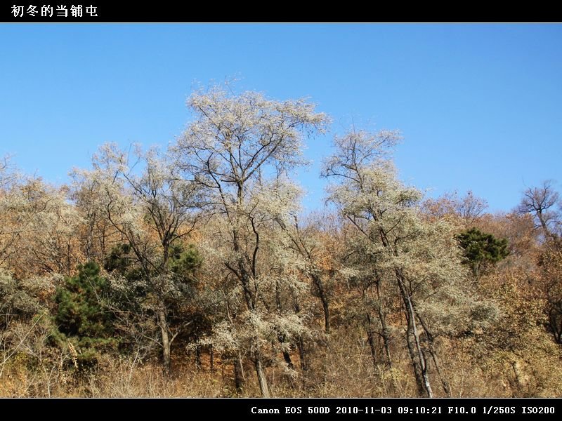 0IMG_6029.jpg