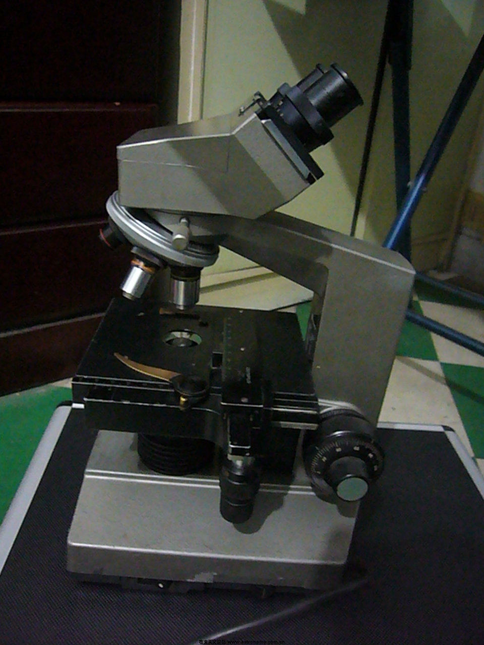 P1020249.JPG
