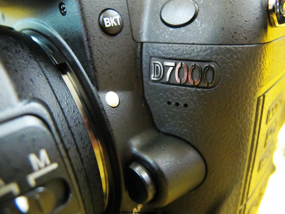 D7000标志