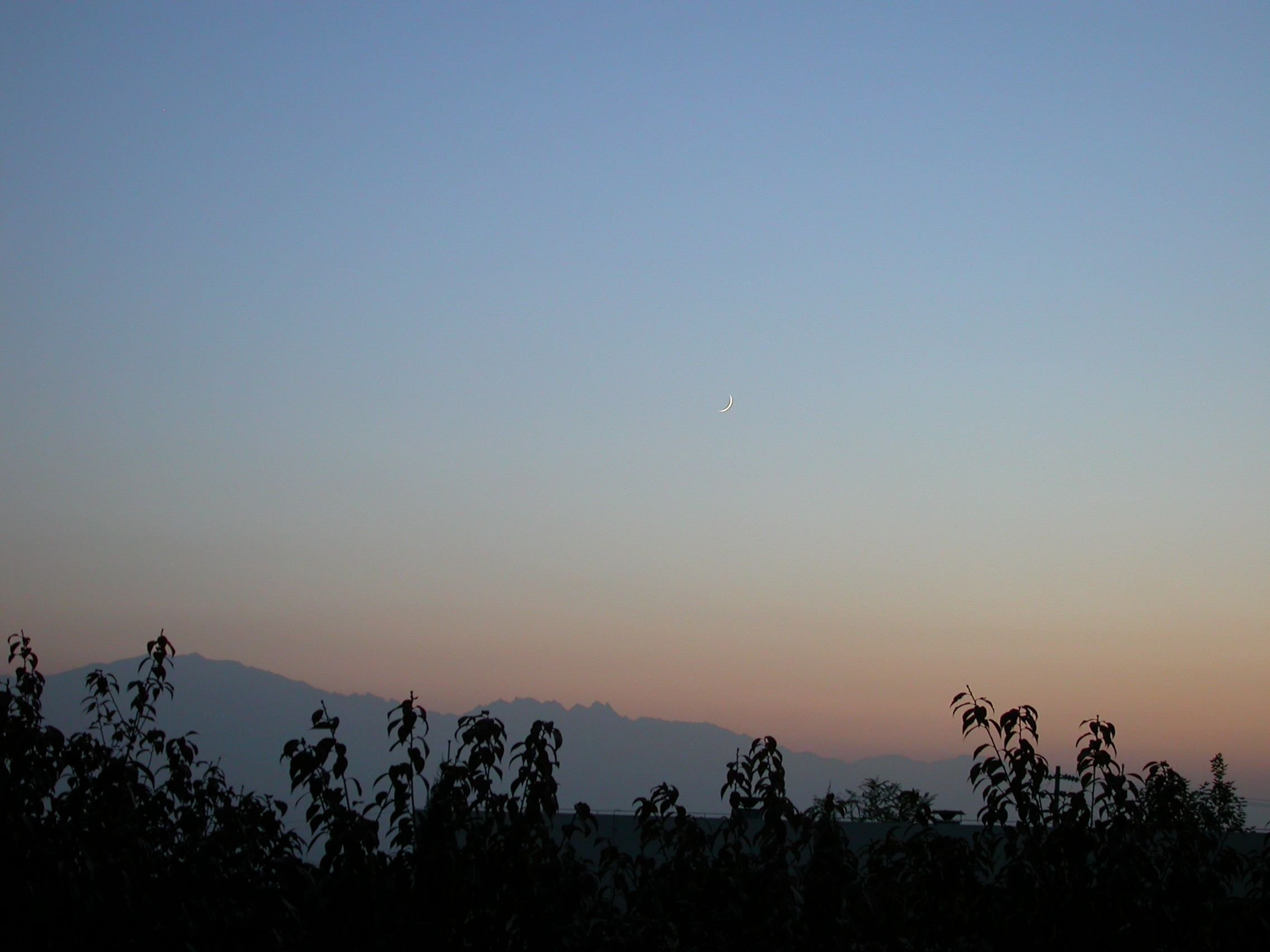 DSCN5622.JPG