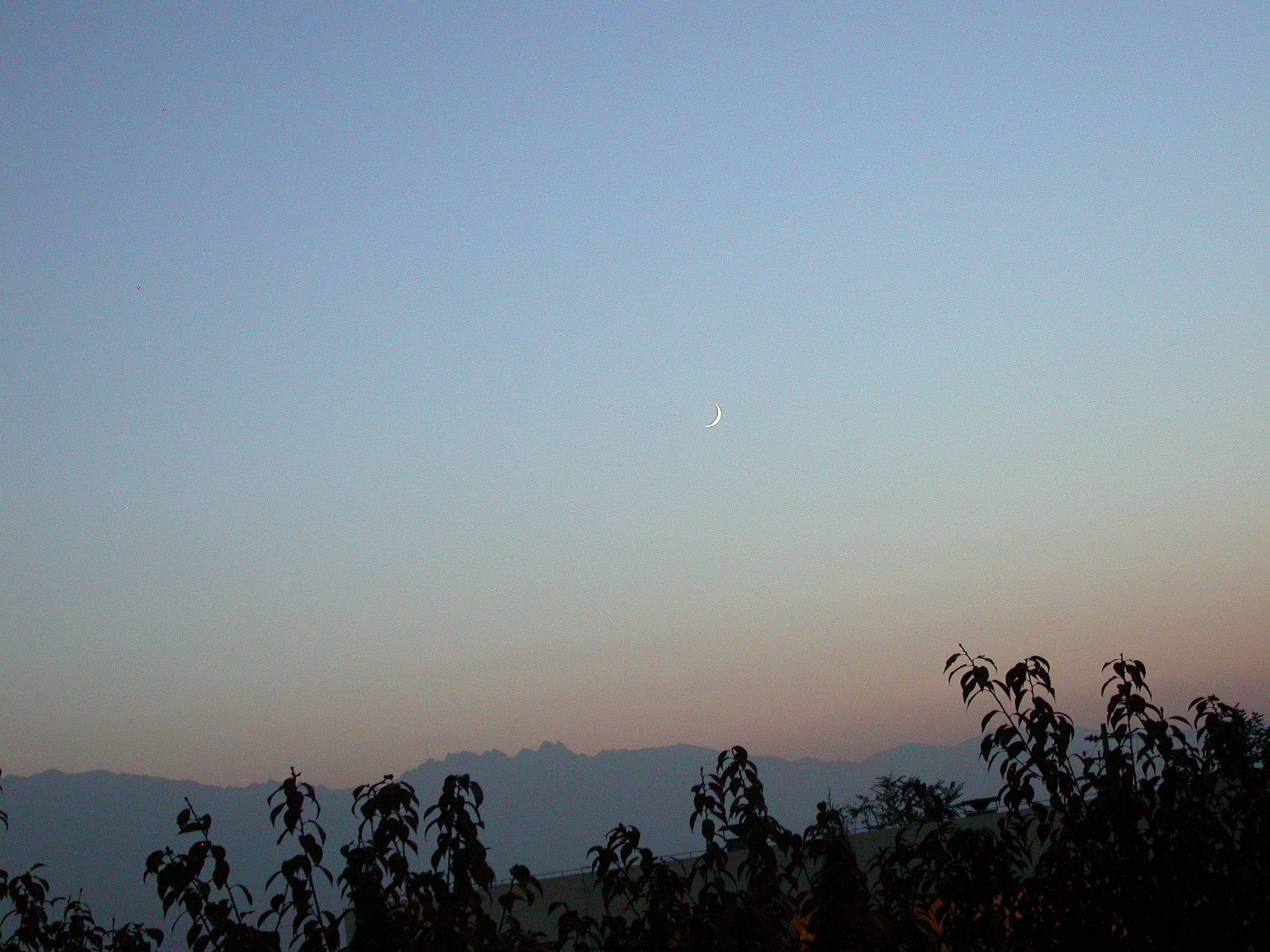 DSCN5636.JPG