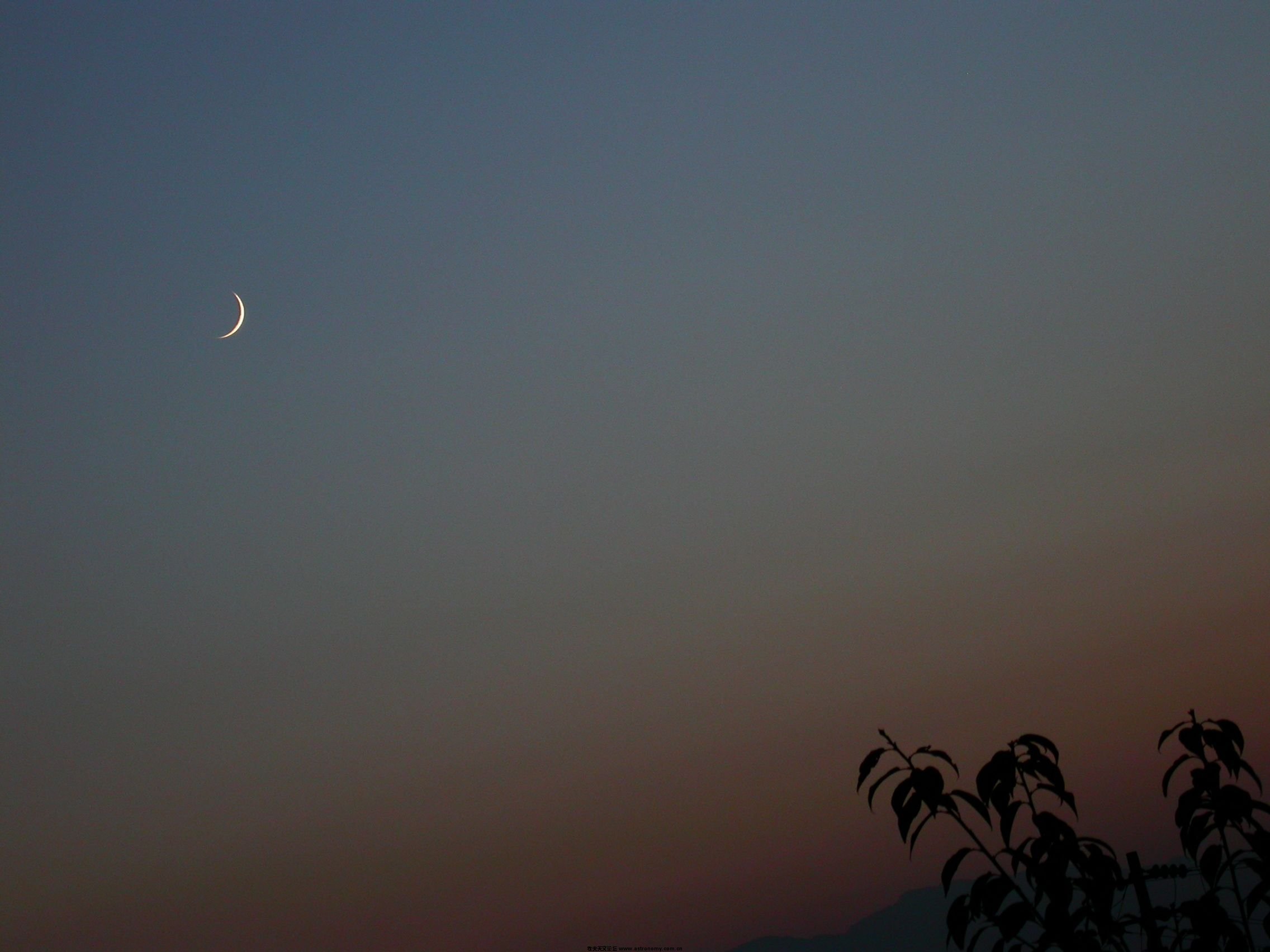 DSCN5628.JPG