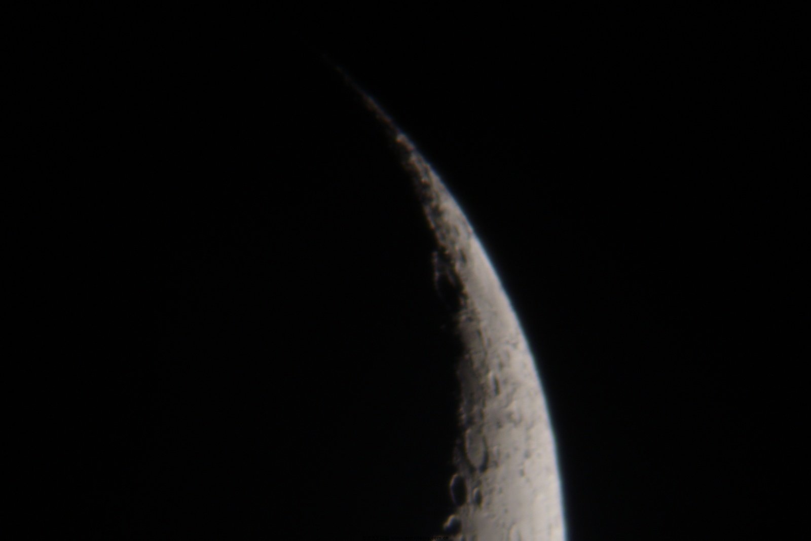 DSC01249.JPG