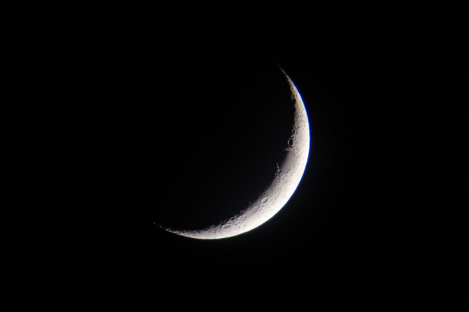 DSC01243.JPG